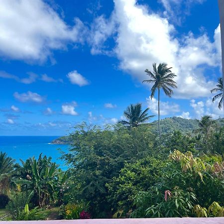Happy Nest Dominica Hotel Marigot Buitenkant foto