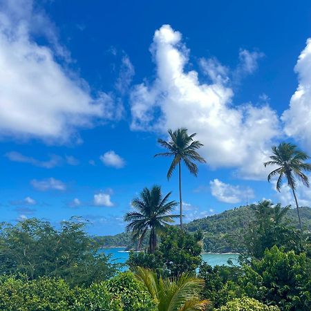 Happy Nest Dominica Hotel Marigot Buitenkant foto