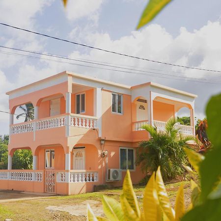 Happy Nest Dominica Hotel Marigot Buitenkant foto