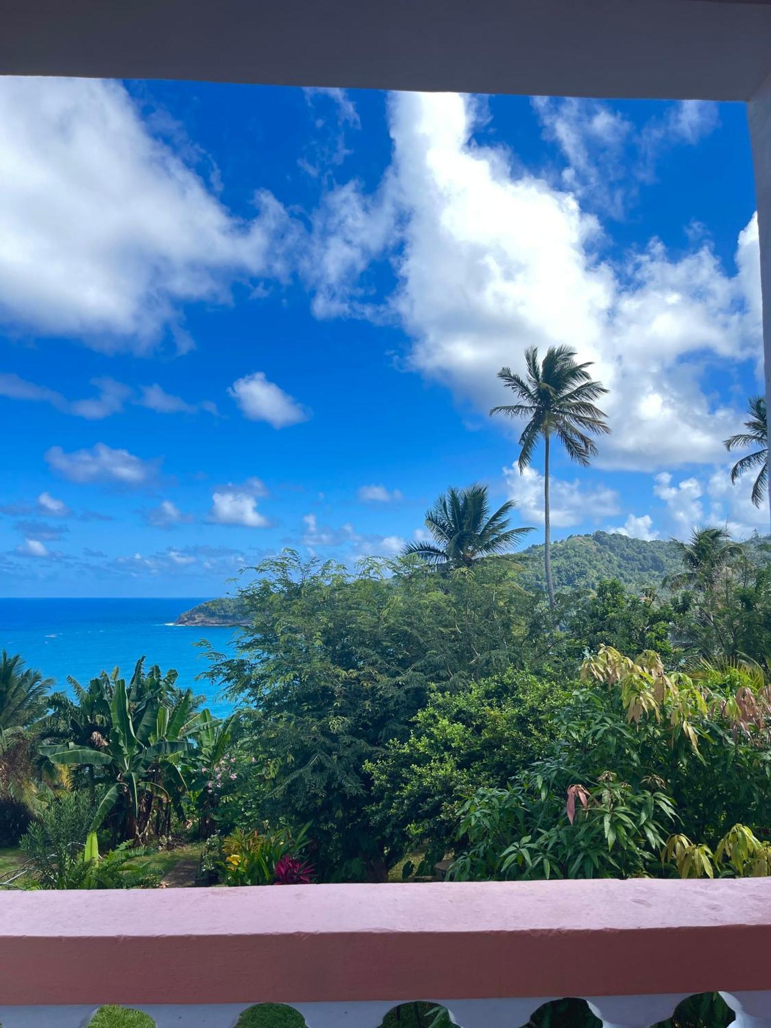 Happy Nest Dominica Hotel Marigot Buitenkant foto